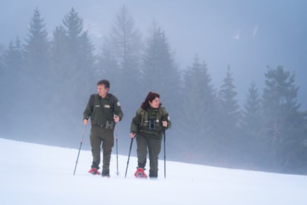 Two park rangers with ski poles walk through a snowy forested landscape