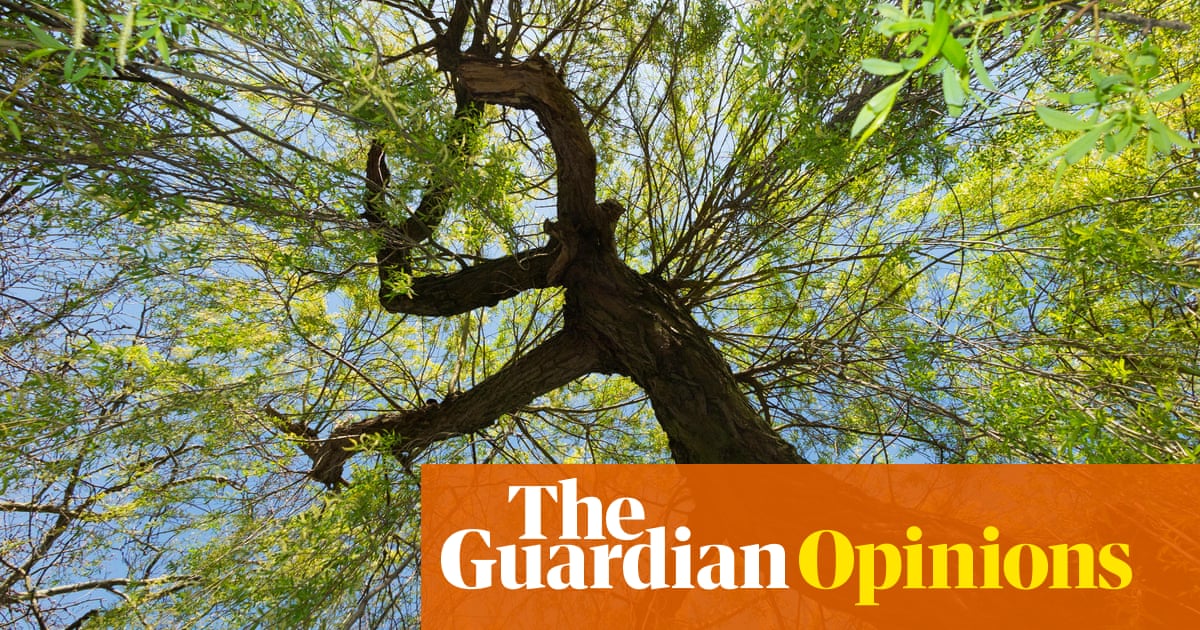 'Can I sunbathe in the park?' is now a deep moral question | Alison Hills