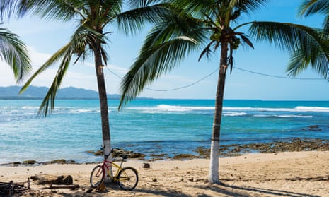 Beach and palm trees in Puerto Viejo de Talamanca, Costa Rica, Central America
