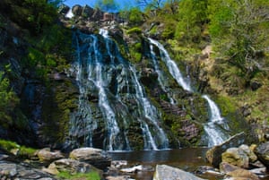 forces of nature six