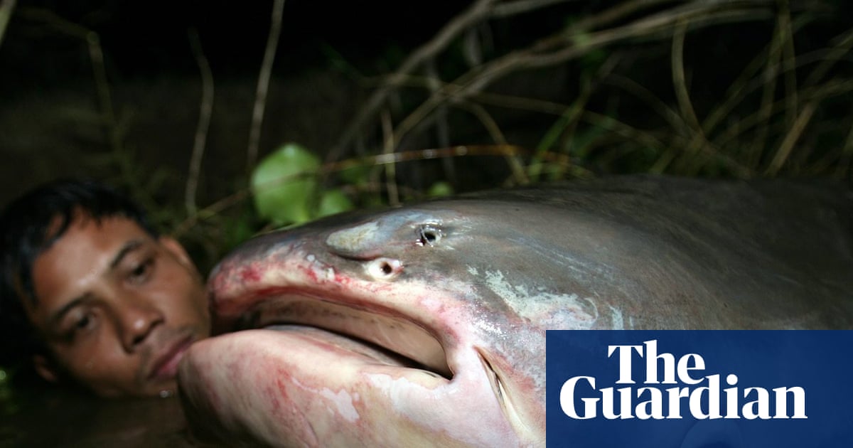 Epic river migrations of fish rapidly collapsing, UN report finds