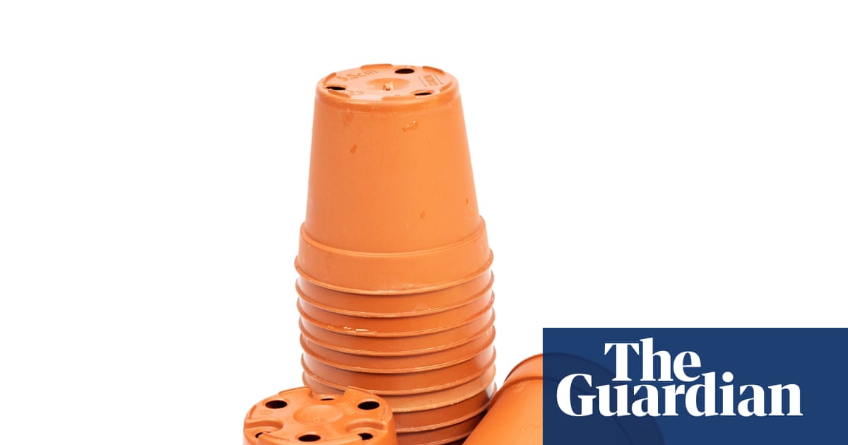 Houseplant hacks: is it eco-friendly or risky to reuse nursery pots?