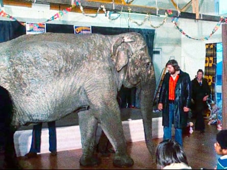 An elephant at a celebration.