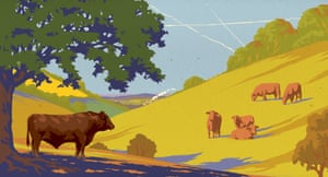Peak beef illustration