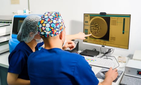 Limit on human embryo research should be extended to 28 days, says UK regulator | Embryos | The Guardian