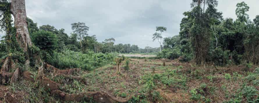 Panoramic view of the agricultural area next to the village of Lokolama, near Mbandaka, DRC