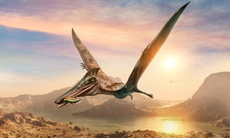 Cartoon Pterodactyl  Giant Pterosaur of the prehistoric skies!