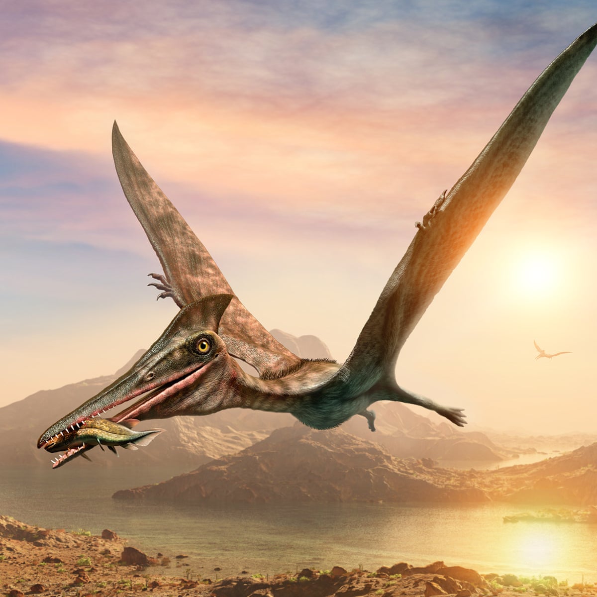 Remains of 'world's largest Jurassic pterosaur' recovered in Scotland | Dinosaurs | The Guardian