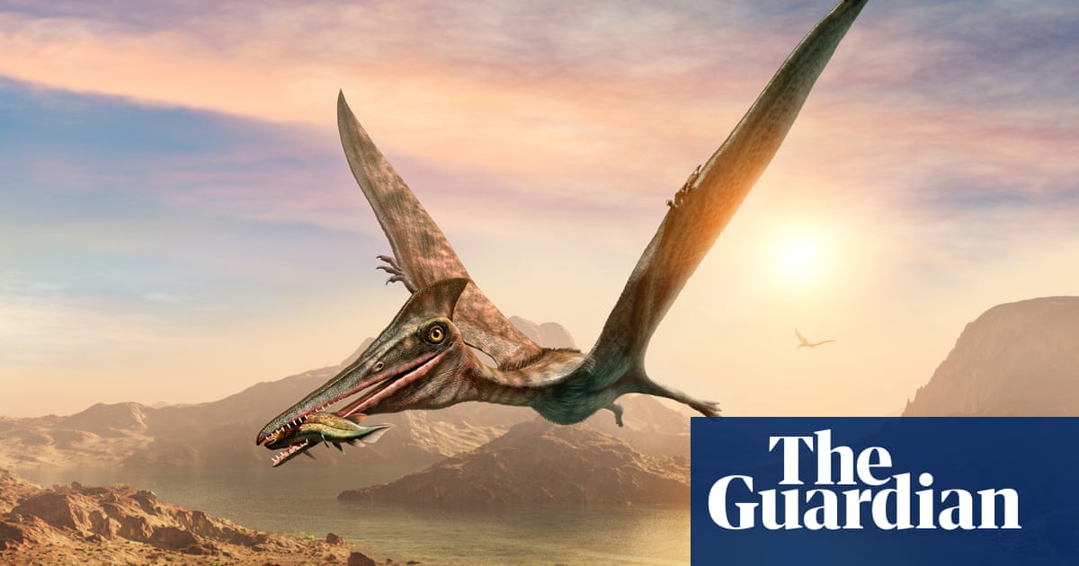 Remains of ‘world’s largest Jurassic pterosaur’ recovered in Scotland