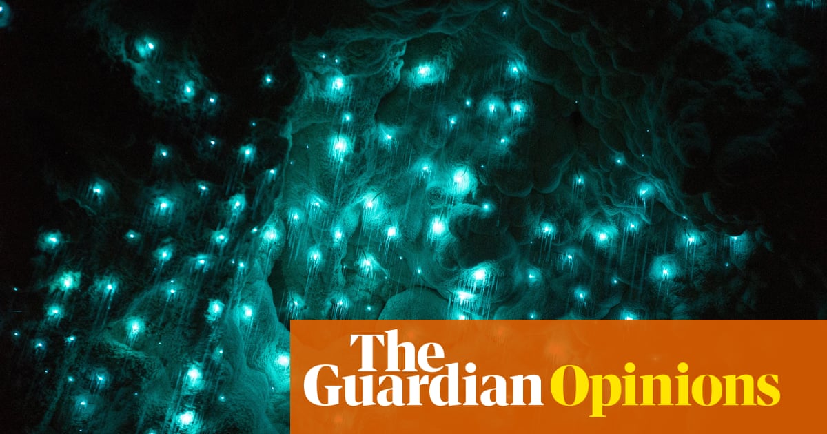 Glow-worms: as soon as you think you’ve seen them, they blink off