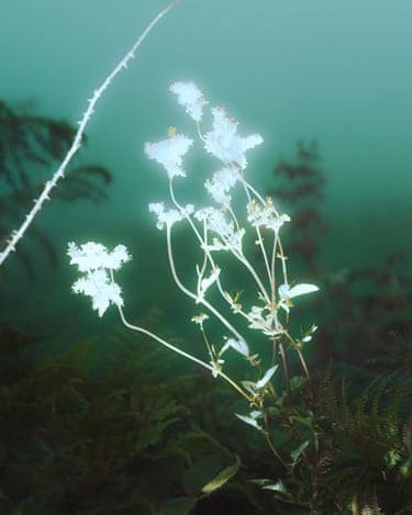 ‘The quiet moments by myself, taking photos in the darkness brought me a calm unlike I’ve experienced anywhere else. I often work alone and usually bring just my camera, tripod and a flash with a custom filter on it that brings results that are almost impossible to control in the elements. Chance and change are things I don’t often get to explore in my commercial work, so I embrace it in my personal projects. Sometimes after battling all this in the rain and the wind, the resulting photograph comes out looking totally unexpected - occasionally for the better.’