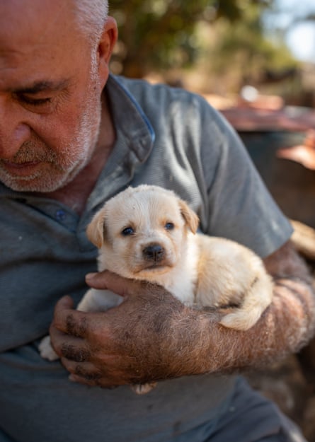 Houssein Hamze sits holding a golden-coloured puppy
