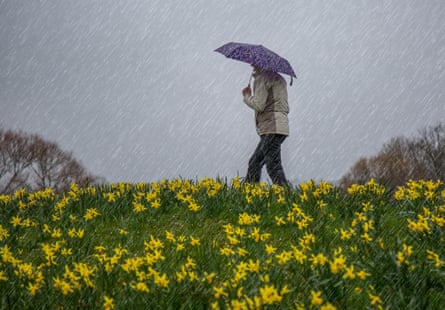 Woman holding an umbrella walking in the rain