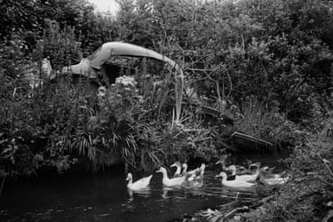 Abandoned Morris Minors, Dingle Peninsula, County Kerry, Ireland, 1982From ‘A Fair Day’. 1980-1983.