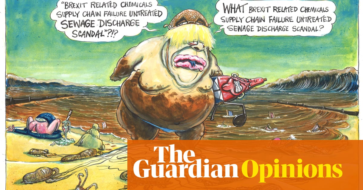 Martin Rowson on the easing of effluent discharge rules – cartoon