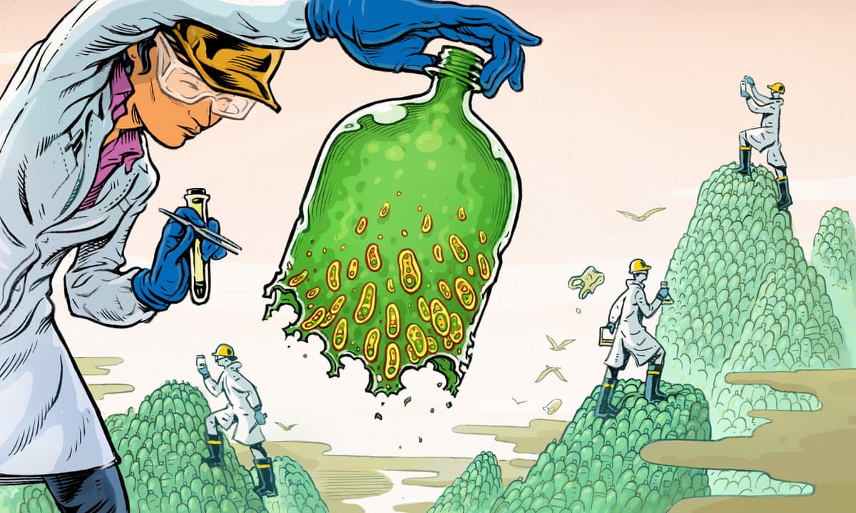We are just getting started': the plastic-eating bacteria that could change the world | Plastics | The Guardian