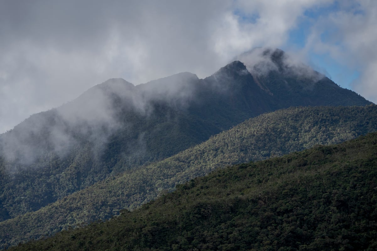 The high mountain landscape of the Tapichalaca reserve