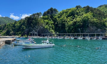 The harbour in Omoe, a fishing community on Japan's north-east coast. Aquamarine waters can be seen below small white fishing boats against the background of rich green trees and a blue sky