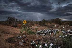 A lone sunflower with bright yellow petals stands in a dry grassy area surrounded by piles of glass bottles and other rubbish. There are some low shrubs behind it and the sky is dark grey and cloudy with a bolt of lightning dropping down in the background