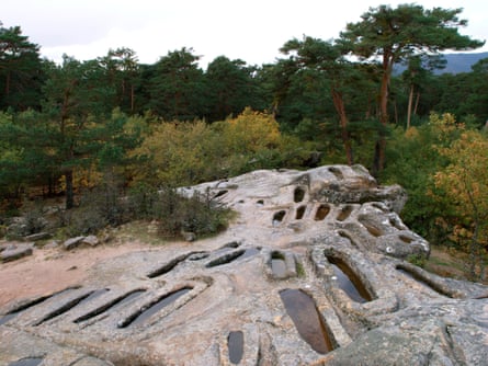 A large rock with holes in it and trees behind