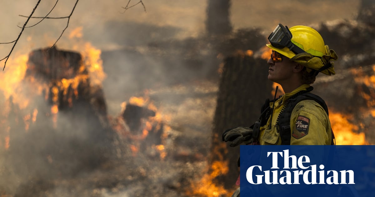 Carbon offsets fail to cut global heating due to ‘intractable’ systemic problems, study says