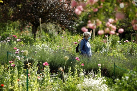 A woman walks through flowering gardens