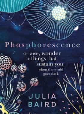 Cover image of Phosphorescence, by Julia Baird