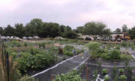 A panoramic view of one of Watson’s fellowship garden plots in Orange, Connecticut