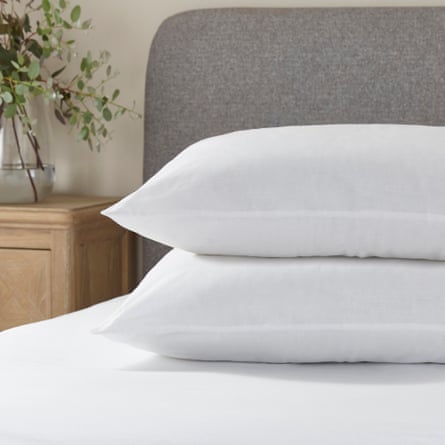Fogarty Pack of 2 Soft Cotton Back Sleeper Pillows