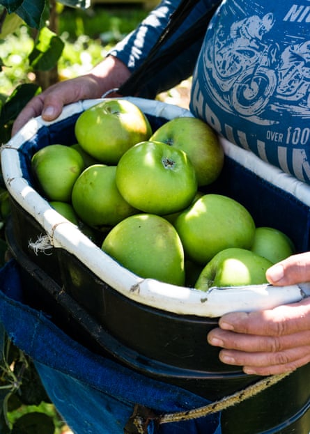 a person carrying an apple basket