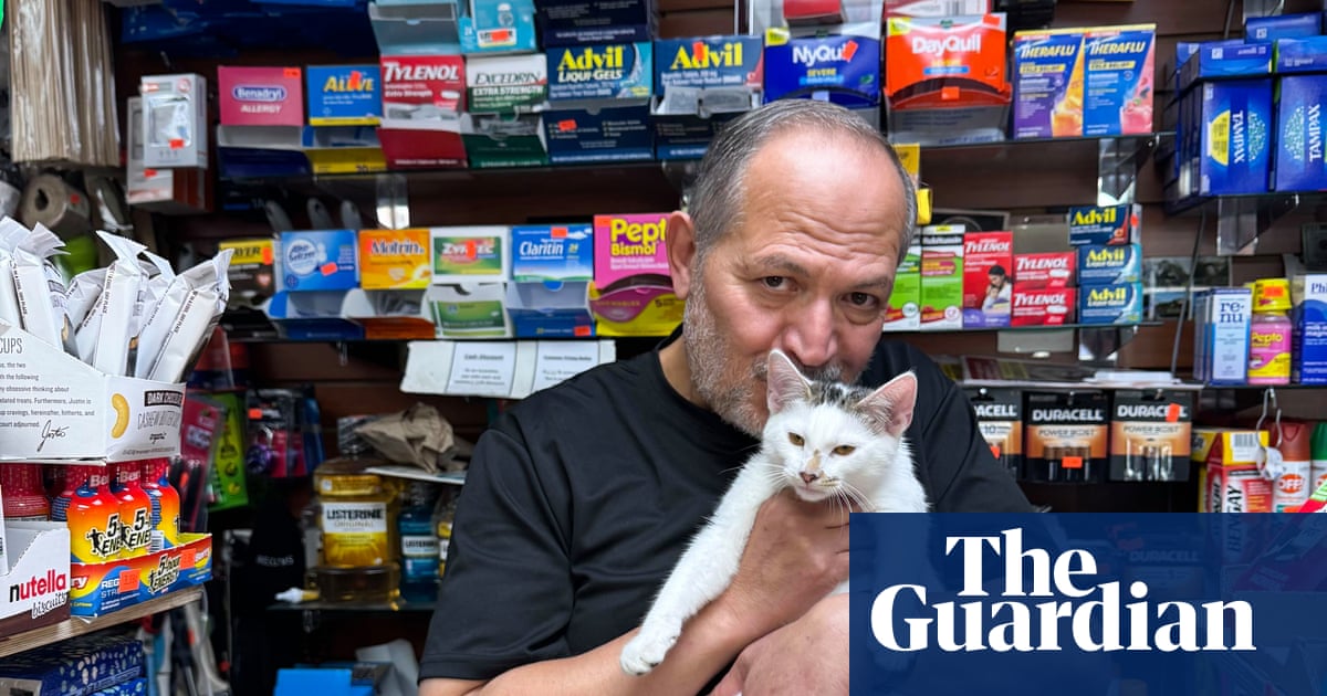 Catnapped bodega cat in Brooklyn reunited with owner after intense grassroots campaign
