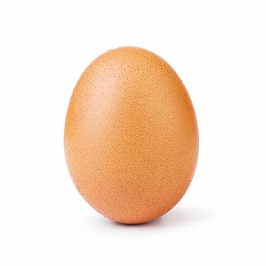 @world_record_egg picture of an egg