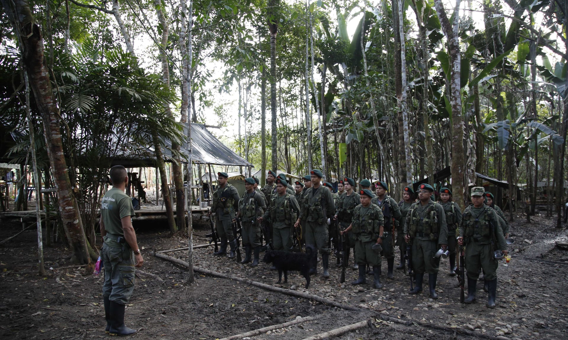 Farc rebels stand in formation in the jungle of Putumayo, Colombia. Photograph: Fernando Vergara/AP