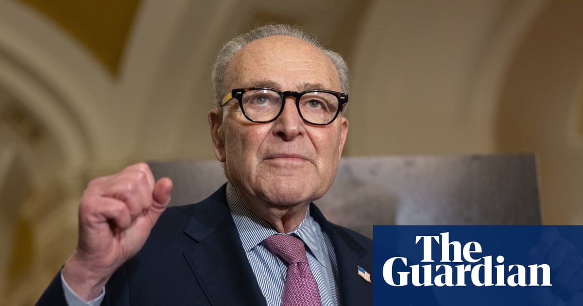 Schumer to ask Senate to back legal action over partial Epstein files release