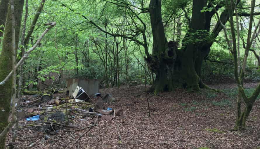 Rubbish litters the forest floor on one of the estates.