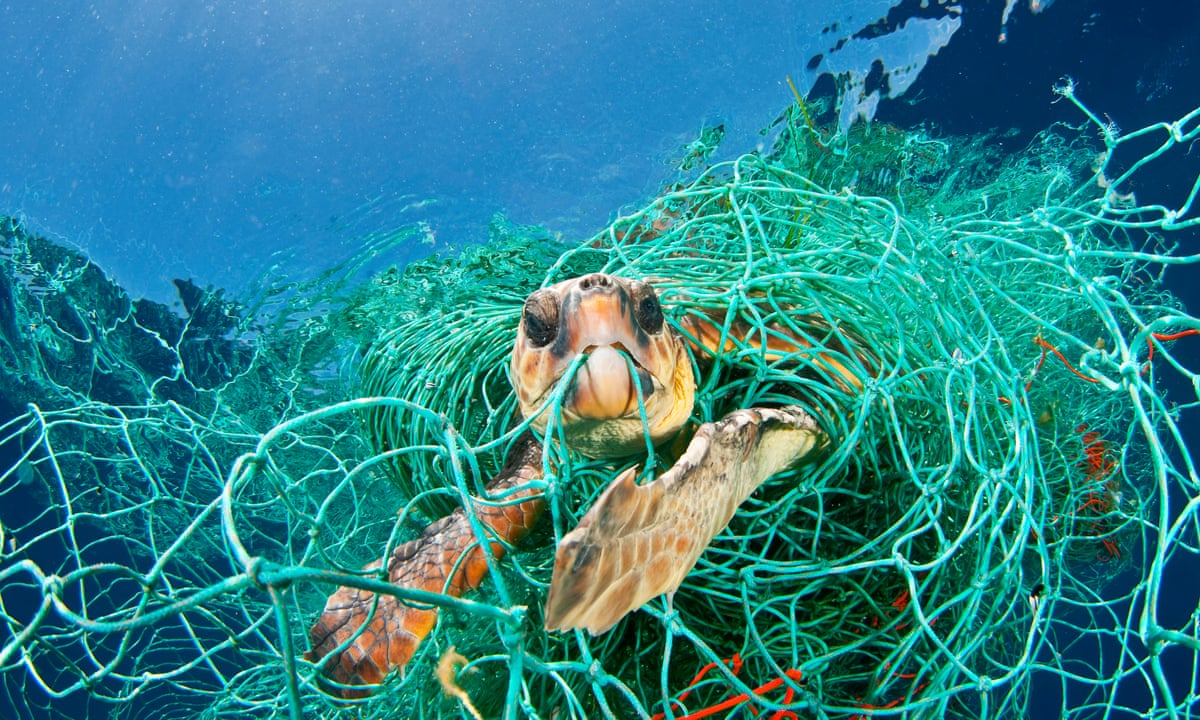 New study reveals 'staggering' scale of lost fishing gear drifting