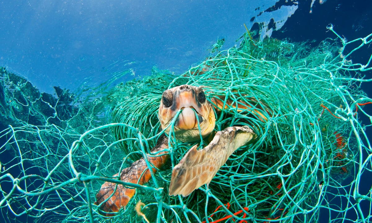 New study reveals 'staggering' scale of lost fishing gear drifting in Earth's oceans | Fish | The Guardian New study reveals 'staggering' scale of lost fishing gear drifting in Earth's oceans | Fish | The Guardian