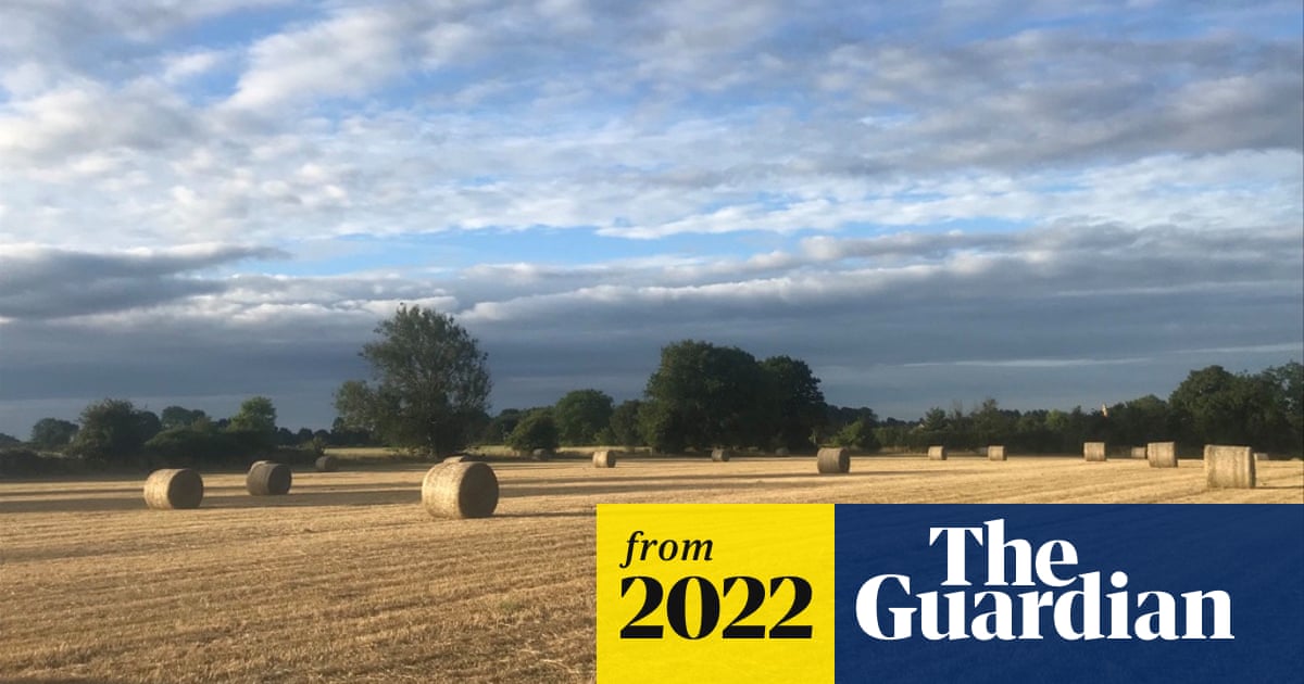 Country diary: A nearby farm may never be worked again - The Guardian