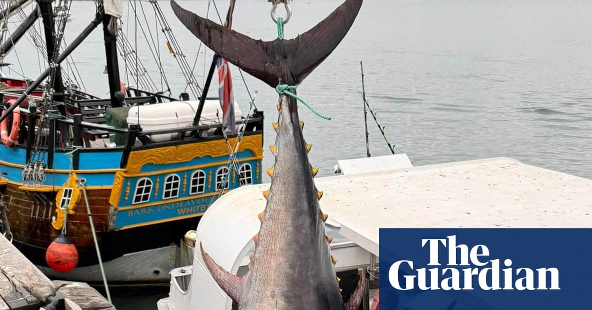 Гигантски тунци се връщат в Северно море след 60 години Гигантски тунци се връщат в Северно море след 60 години