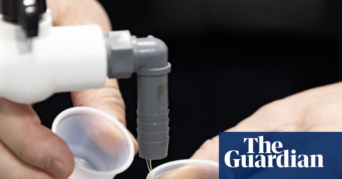 क्यूबेक में कथित मेपल सिरप घोटाला कनाडाई प्रसारक द्वारा उजागर किया गया