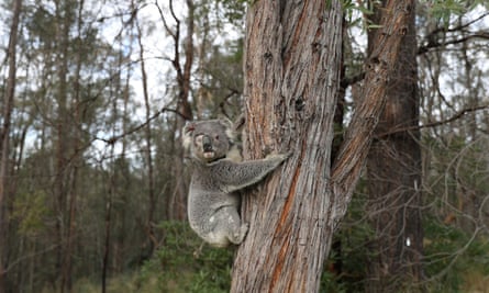 Environment law changes