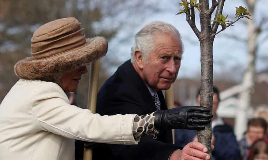 Prince Charles planting a tree