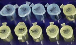 Samples in a forensics lab