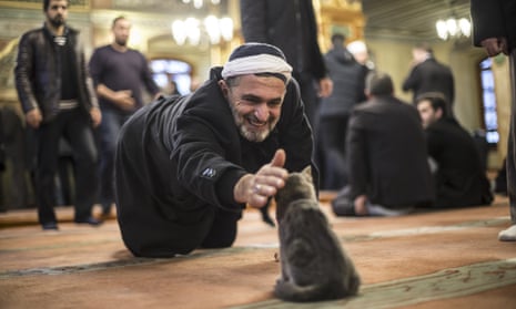 A man strokes a cat at Imam Aziz Mahmud Hudayi mosque in Istanbul.