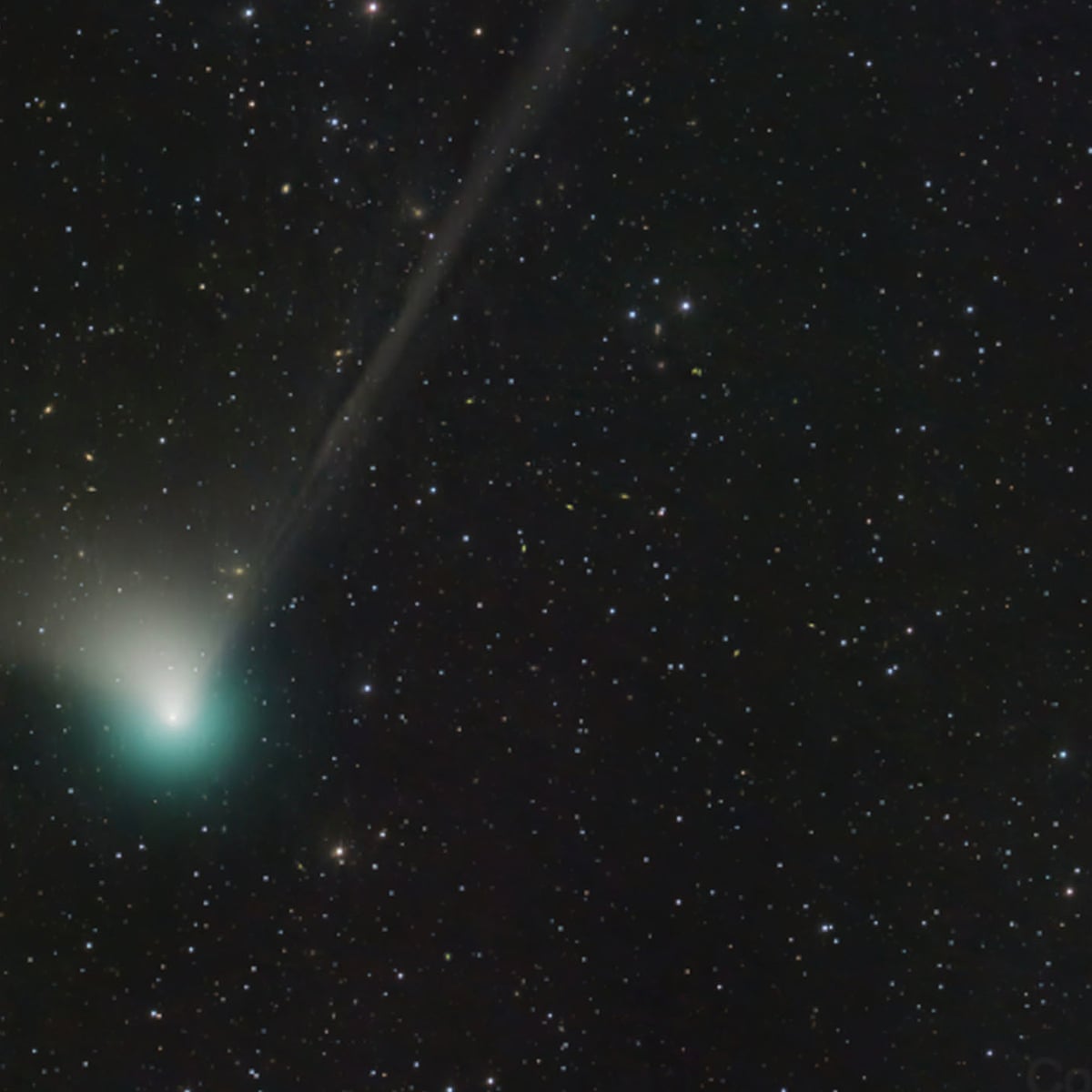What is 'the green comet' and how can you see it?, Comets