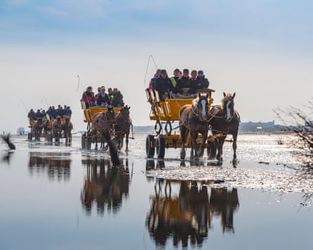The horse-drawn trip to Neuwerk, near Cuxhaven.
