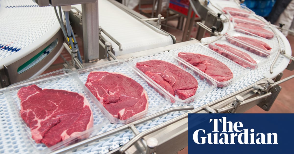 Huge reduction in meat-eating ‘essential’ to avoid climate breakdown