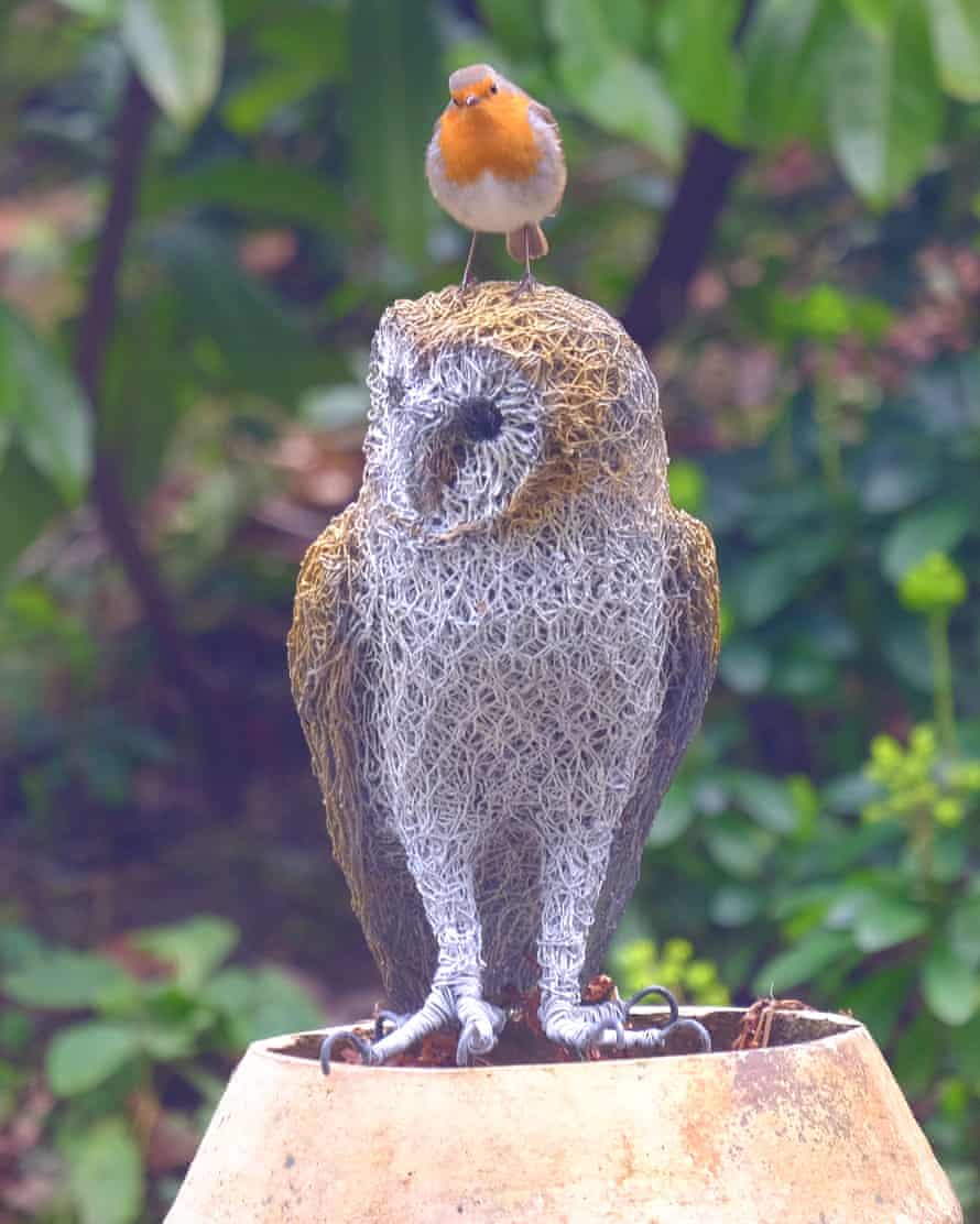 A robin in a garden on the Malvern Hills in Worcestershire on 2 March.