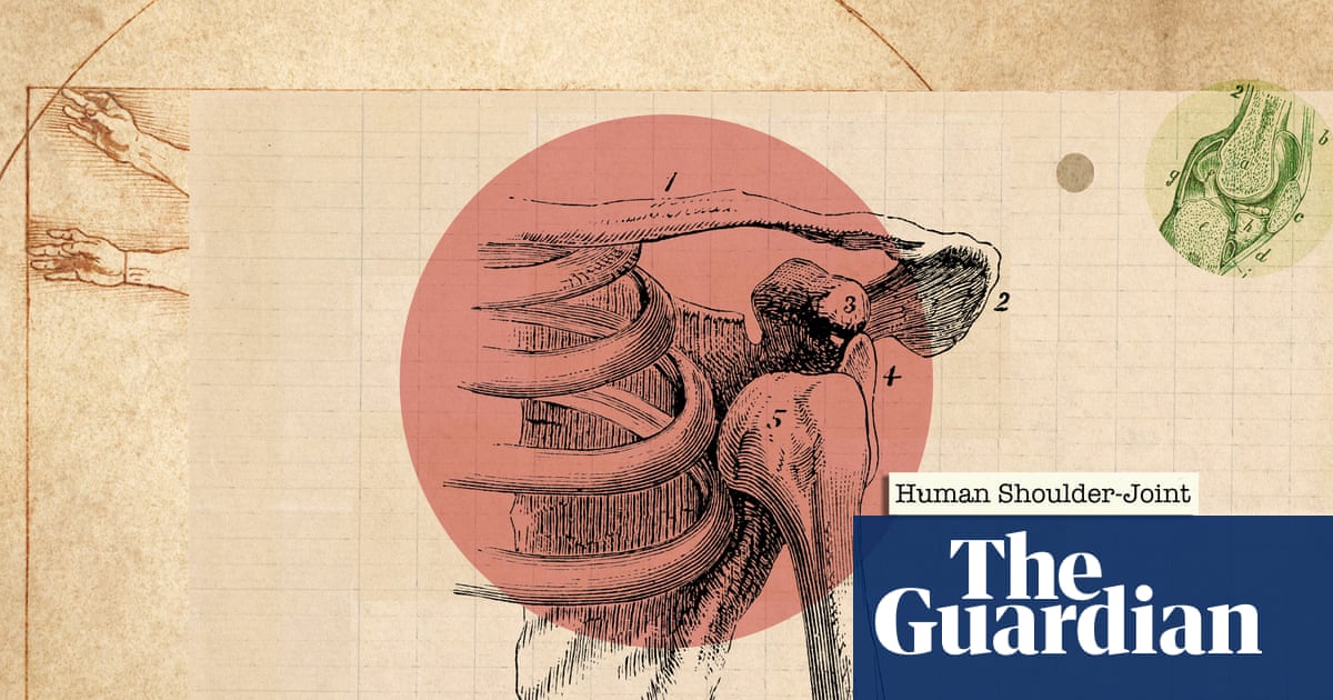 ‘Motion is lotion’: how to really look after your shoulders