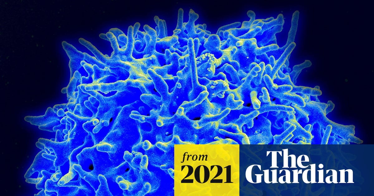 www.theguardian.com